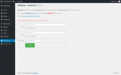 Page screenshot: WPRelace设置