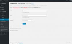Page screenshot: Tools &rarr; WPRelace设置