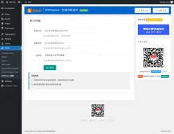 Page screenshot: Tools &rarr; WPRelace设置