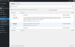 Page screenshot: Plugins ‹ Test site — WordPress