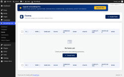 Page screenshot: DocuMerge Lite &rarr; Forms