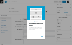 Page screenshot: Add New Post ‹ Test site — WordPress