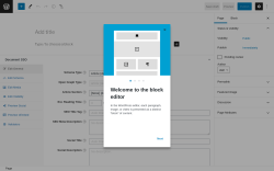 Page screenshot: Add New Page ‹ Test site — WordPress