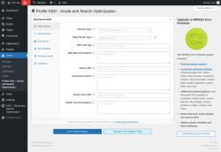 Page screenshot: Users → Profile SSO – Social and Search Optimization