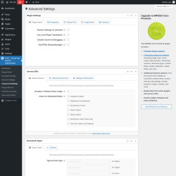 Page screenshot: SSO – Social and Search Optimization → Advanced Settings
