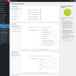 Page screenshot: SSO – Social and Search Optimization → Advanced Settings