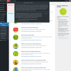 Page screenshot: SSO – Social and Search Optimization → Plugin Add-ons