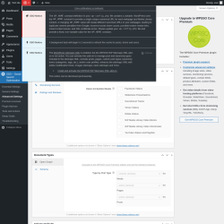 Page screenshot: SSO – Social and Search Optimization → Advanced Settings
