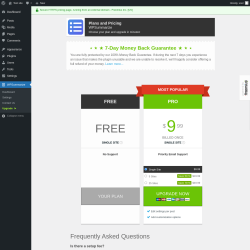 Page screenshot: WPSummarize → Upgrade  ➤