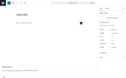 Page screenshot: Add New Post ‹ Test site — WordPress