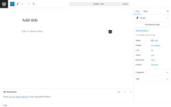 Page screenshot: Add New Post ‹ Test site — WordPress