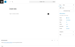 Page screenshot: Add Post ‹ Test site — WordPress