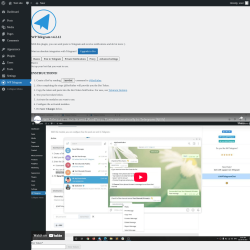 Page screenshot: WP Telegram