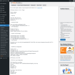 Page screenshot: WP Tools → Debug Info