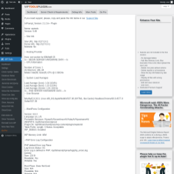 Page screenshot: WP Tools → Debug Info