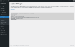 Page screenshot: Plugins  → MU Plugins