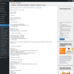Page screenshot: WP Tools → Debug Info