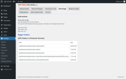 Page screenshot: WP Tools → Settings → Disk Usage