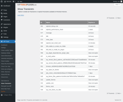 Page screenshot: WP Tools → Show Transients