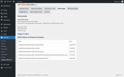Page screenshot: Settings → Settings WPTools → Disk Usage