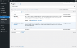 Page screenshot: Plugins &lsaquo; Test site &mdash; WordPress