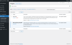 Page screenshot: Plugins &lsaquo; Test site &mdash; WordPress