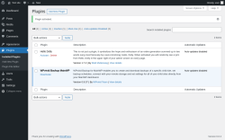Page screenshot: Plugins &lsaquo; Test site &mdash; WordPress
