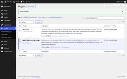 Page screenshot: Plugins &lsaquo; Test site &mdash; WordPress