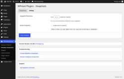 Page screenshot: WPvivid Backup &rarr; Database Snapshots &rarr; Setting