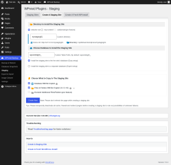 Page screenshot: WPvivid Backup &rarr; Staging &rarr; Create A Staging Site