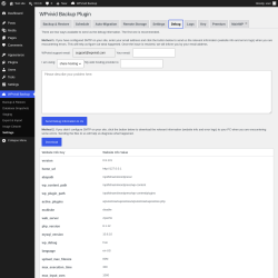Page screenshot: WPvivid Backup &rarr; Settings &rarr; Debug
