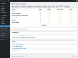 Page screenshot: WPvivid Backup &rarr; Settings &rarr; Premium