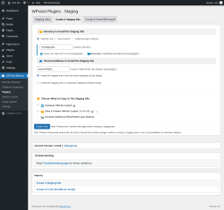 Page screenshot: WPvivid Backup &rarr; Staging &rarr; Create A Staging Site