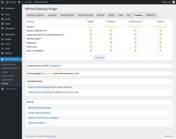 Page screenshot: WPvivid Backup &rarr; Settings &rarr; Premium