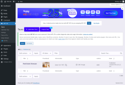 Page screenshot: WP VR