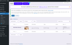 Page screenshot: WP VR