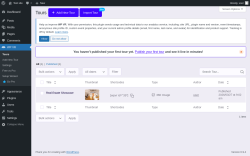 Page screenshot: WP VR