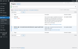 Page screenshot: Plugins &lsaquo; Test site &mdash; WordPress