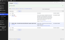 Page screenshot: Plugins &lsaquo; Test site &mdash; WordPress