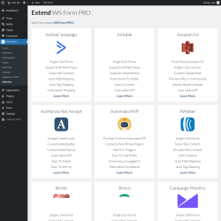 Page screenshot: WS Form → Add-Ons