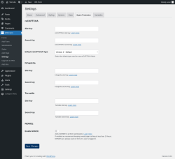 Page screenshot: WS Form → Settings → Spam Protection