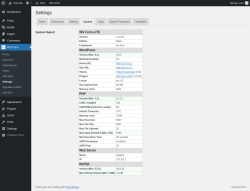 Page screenshot: WS Form → Settings → System