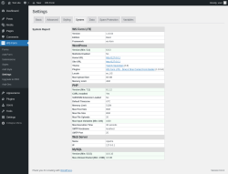Page screenshot: WS Form &rarr; Settings &rarr; System