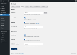 Page screenshot: WS Form &rarr; Settings &rarr; Styling