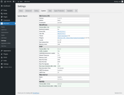 Page screenshot: WS Form &rarr; Settings &rarr; System