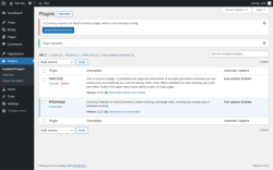 Page screenshot: Plugins ‹ Test site — WordPress