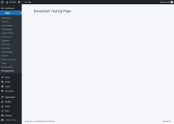 Page screenshot: Xagio → Developer Test