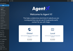Page screenshot: Xagio → Agent X