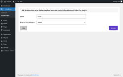 Page screenshot: iT X-Bulk Lite → Active Plugin