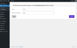 Page screenshot: iT X-Bulk Lite → Active Plugin